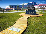 深圳天华矿业集团